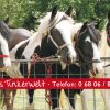 https://www.saar-regional.de/wp-content/uploads/2018/02/Kopf_Lisas_Tinkerwelt-2-100x100.jpg