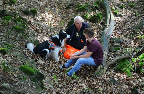 Hunde In Not Saar
