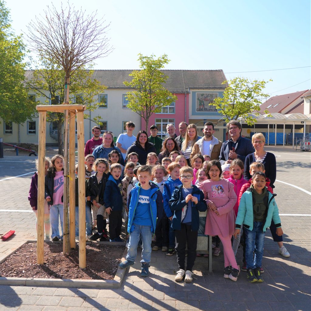 Ein Baum zum Schulstart