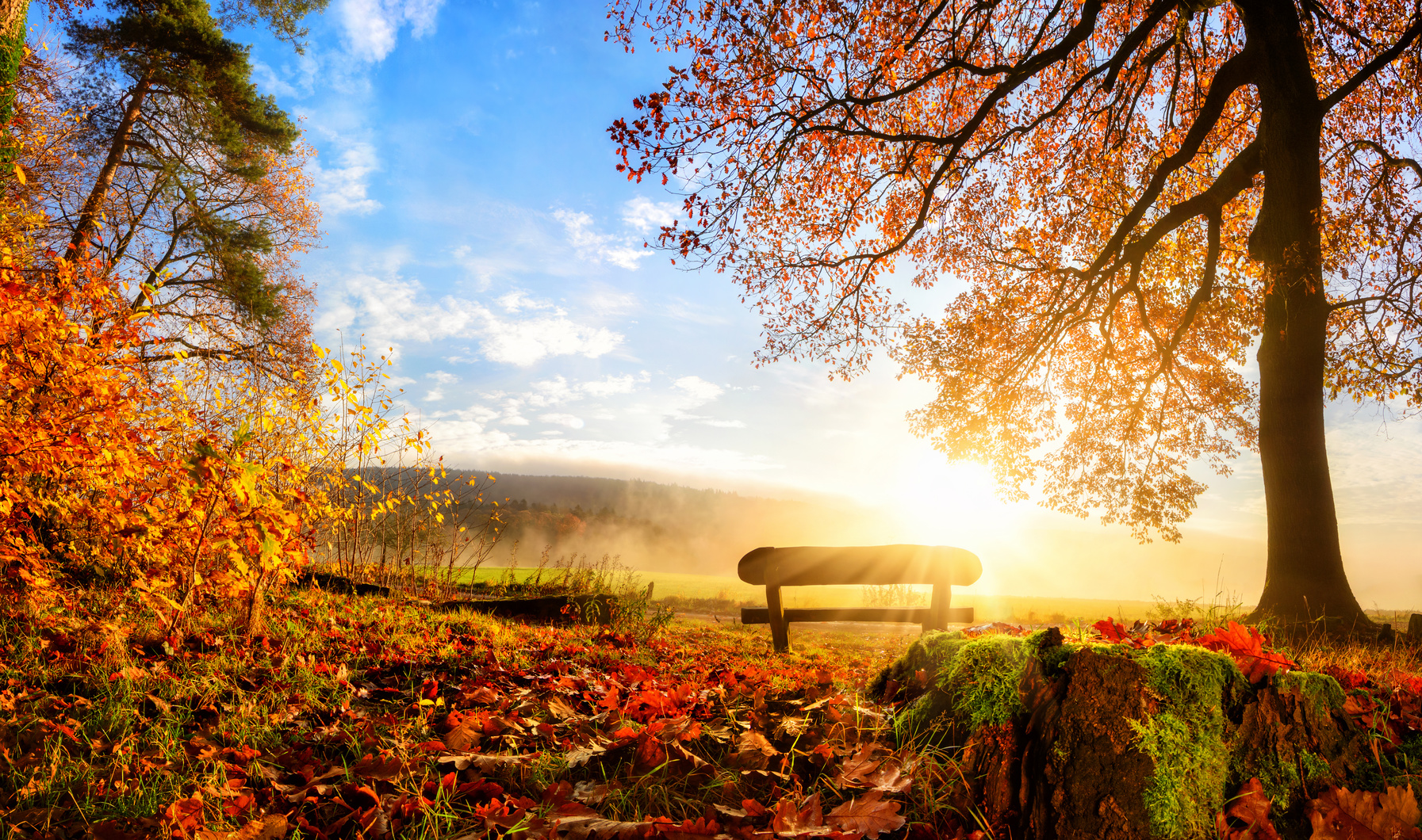 Zauberhafte Herbstszene