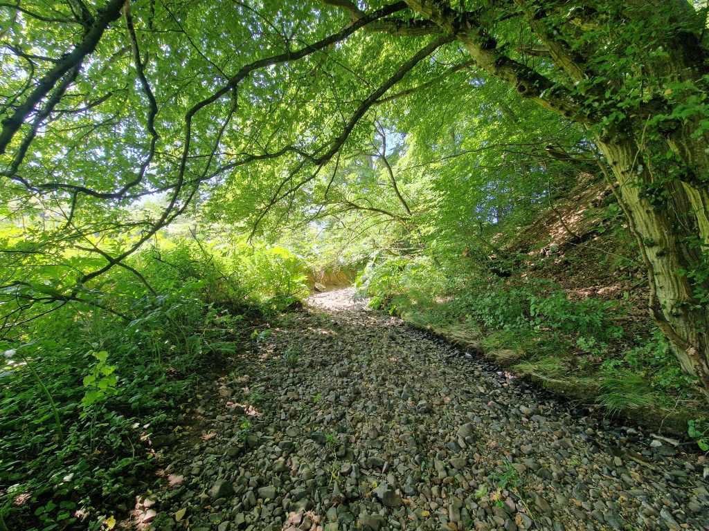 ausgetrockneter Steinbach höhe Thalexweiler, Daniel Dewes